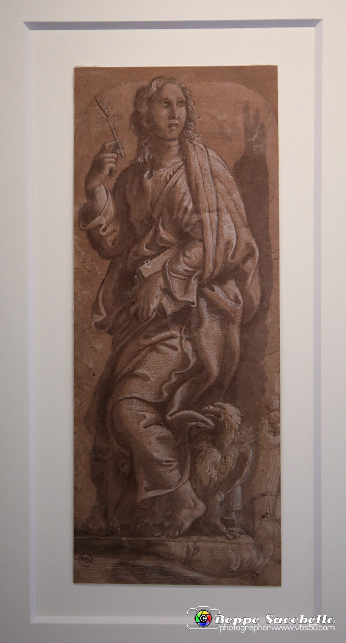 VBS_0024 - Mostra Nel segno di Raffaello.jpg